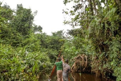 franca-lidera-acao-de-us$-2,5-bilhoes-para-proteger-floresta-do-congo