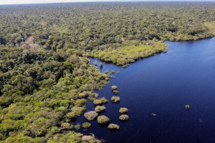 cop30:-quarto-leilao-do-eco-invest-tera-foco-exclusivo-na-amazonia