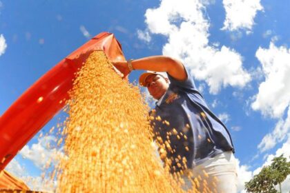 agropecuaria-ajudou-oito-estados-a-crescerem-mais-que-o-brasil-em-2023