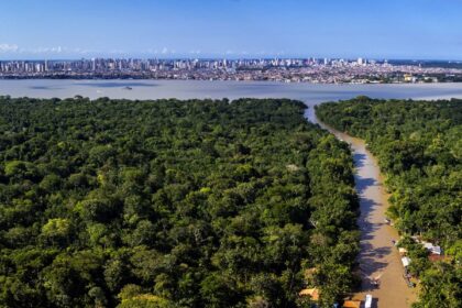 cop30-consolida-novo-patamar-do-turismo-no-brasil,-avalia-sabino