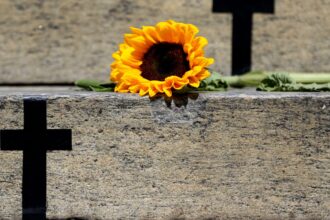 crimes-recentes-mostram-grave-cenario-de-violencia-contra-a-mulher