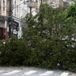 prefeitura-fecha-todos-os-parques-de-sao-paulo-por-causa-dos-ventos