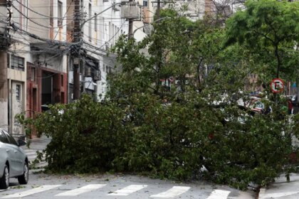 prefeitura-fecha-todos-os-parques-de-sao-paulo-por-causa-dos-ventos