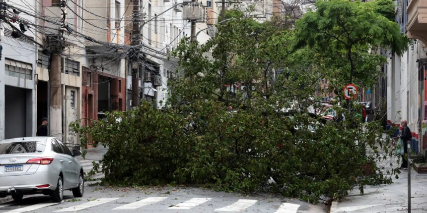 prefeitura-fecha-todos-os-parques-de-sao-paulo-por-causa-dos-ventos