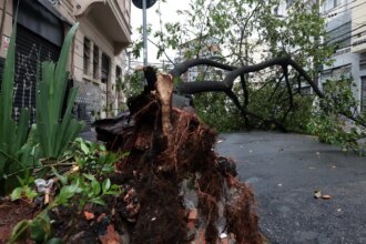 sao-paulo-enfrenta-ventos-de-quase-100-km/h-nesta-quarta-feira