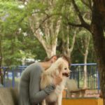 cade-aprova-fusao-entre-petz-e-cobasi-com-restricoes