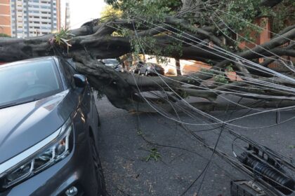 sao-paulo-e-capitais-do-sul-terao-ventos-moderados-nesta-quinta-feira