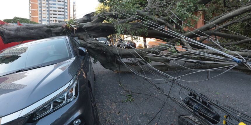 sao-paulo-e-capitais-do-sul-terao-ventos-moderados-nesta-quinta-feira