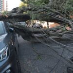 comercio-perde-mais-de-r$-50-milhoes-com-falta-de-energia-em-sao-paulo