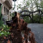 em-embu-guacu,-em-sp,-apagao-deixa-61%-dos-moradores-sem-luz