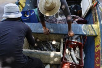 pesquisadores-encontram-mercurio-em-peixes-da-baia-de-guanabara