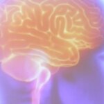 projeto-artemis-avalia-genetica-de-pacientes-que-sofreram-avc