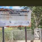 reconhecida,-comunidade-quilombola-em-goias-quer-saida-de-fazendeiros