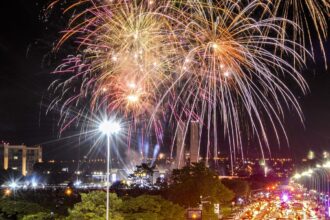 fogos-de-artificios-com-estampido-sao-risco-para-animais-e-pessoas