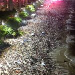 turistas-lotaram-rede-hoteleira-de-niteroi-no-reveillon