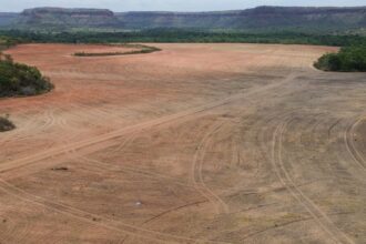 processadoras-de-soja-deixam-acordo-sobre-desmatamento-na-amazonia