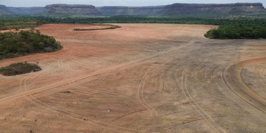 processadoras-de-soja-deixam-acordo-sobre-desmatamento-na-amazonia