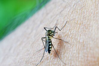 estado-de-sao-paulo-confirma-primeira-morte-por-dengue-em-2026