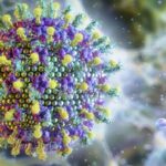 ministerio-da-saude-diz-que-virus-nipah-nao-ameaca-o-brasil