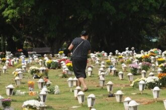 caes-e-gatos-podem-ser-sepultados-em-jazigos-familiares-em-sao-paulo