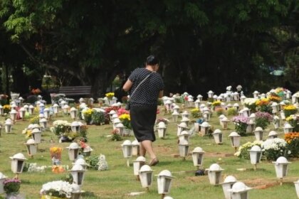 caes-e-gatos-podem-ser-sepultados-em-jazigos-familiares-em-sao-paulo