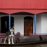 cheia-de-rios-amazonicos-deixa-35-cidades-em-alerta-e-emergencia