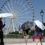 europa:-temperatura-alta-pode-elevar-transmissao-do-virus-chikungunya