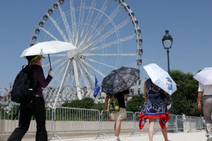 europa:-temperatura-alta-pode-elevar-transmissao-do-virus-chikungunya