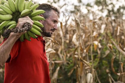 camara-aprova-uso-de-recursos-do-fgo-em-operacoes-do-pronaf