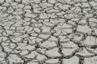 estiagem:-quinze-cidades-tem-situacao-de-emergencia-decretada