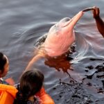 inseguranca-e-barreira-para-62%-das-mulheres-viajarem-sozinhas