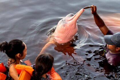 inseguranca-e-barreira-para-62%-das-mulheres-viajarem-sozinhas