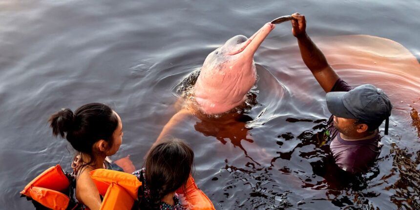 inseguranca-e-barreira-para-62%-das-mulheres-viajarem-sozinhas