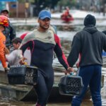 lei-cria-politica-de-acolhimento-para-animais-resgatados-em-desastres