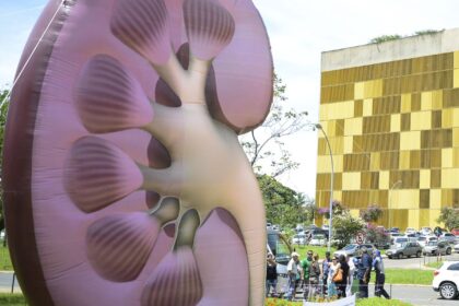 dia-mundial-do-rim:-doencas-renais-sao-silenciosas-e-exigem-atencao