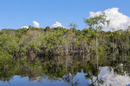 governo-levantou-r$-179-bi-desde-2023-para-transicao-ecologica