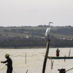 sexto-lote-do-seguro-defeso-sera-disponibilizado-na-terca-feira