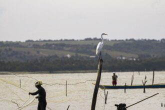 sexto-lote-do-seguro-defeso-sera-disponibilizado-na-terca-feira