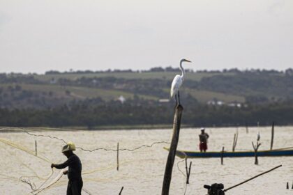 sexto-lote-do-seguro-defeso-sera-disponibilizado-na-terca-feira