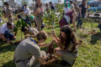 cop15-no-brasil-promove-conexao-entre-povos-e-territorios