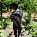 horta-comunitaria-reune-memoria,-cuidado-e-cidadania-em-favela-do-rio