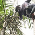 governo-investe-r$-132-milhoes-em-regularizacao-fundiaria-na-amazonia