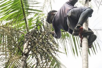 governo-investe-r$-132-milhoes-em-regularizacao-fundiaria-na-amazonia