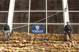 rj:-operacao-na-mare-apreende-recorde-de-48-toneladas-de-drogas