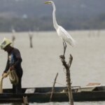 mudancas-aprovadas-para-o-seguro-defeso-previnem-fraudes,-diz-relator