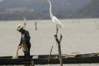 mudancas-aprovadas-para-o-seguro-defeso-previnem-fraudes,-diz-relator