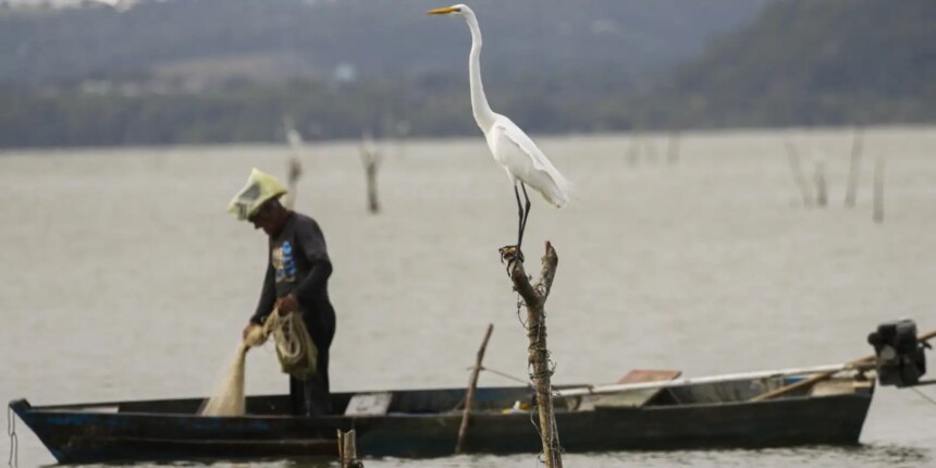 mudancas-aprovadas-para-o-seguro-defeso-previnem-fraudes,-diz-relator