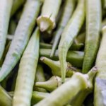 garantia-safra:-veja-lista-dos-que-receberao-pagamento-em-abril