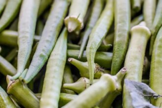 garantia-safra:-veja-lista-dos-que-receberao-pagamento-em-abril