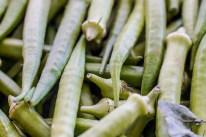 garantia-safra:-veja-lista-dos-que-receberao-pagamento-em-abril